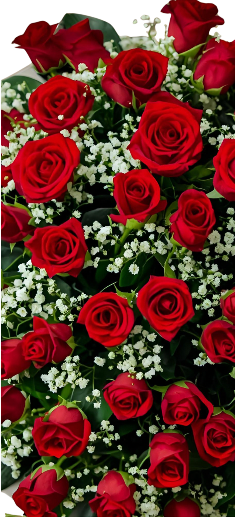 Red Rose Coffin | Casket Spray