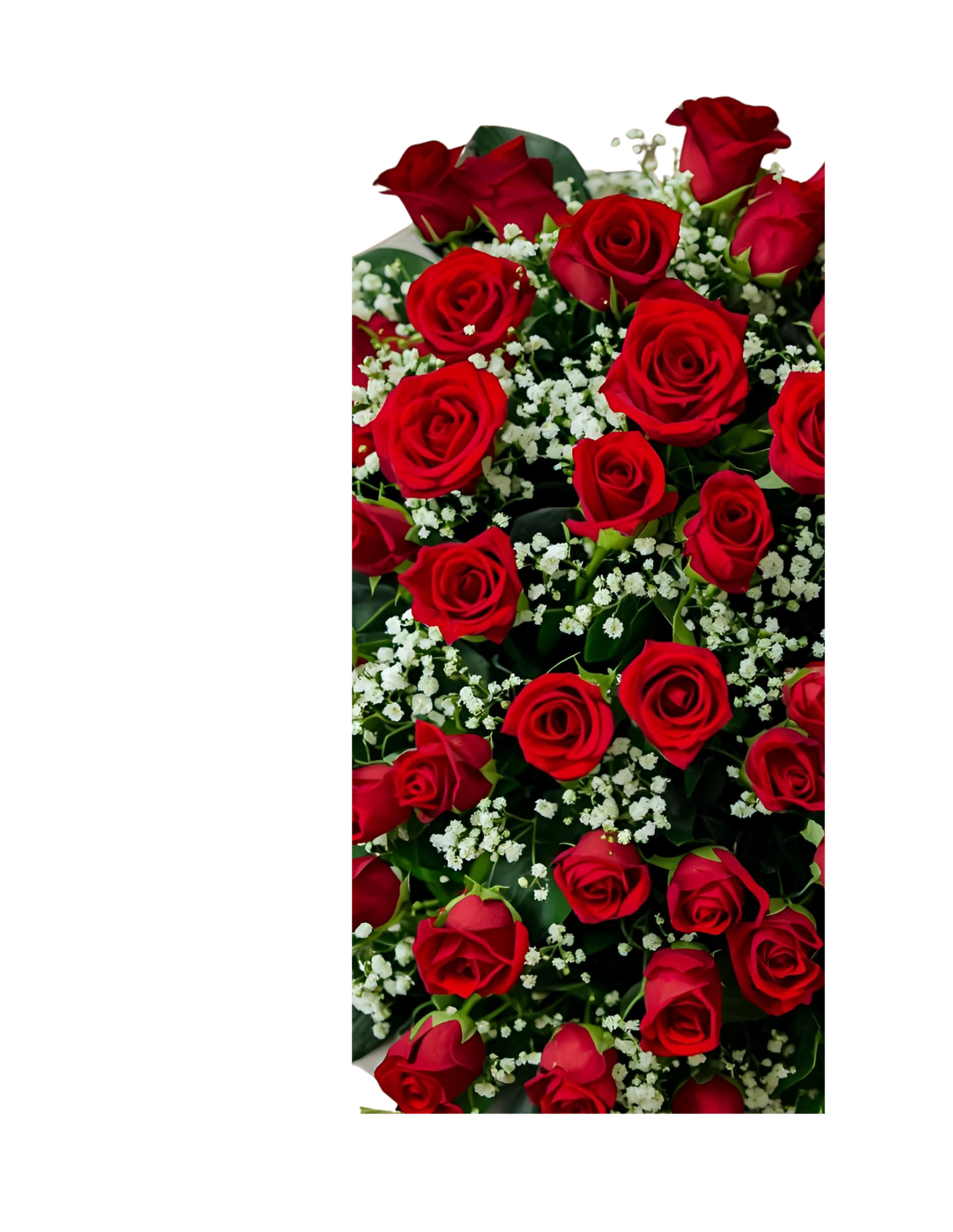 Red Rose Coffin | Casket Spray